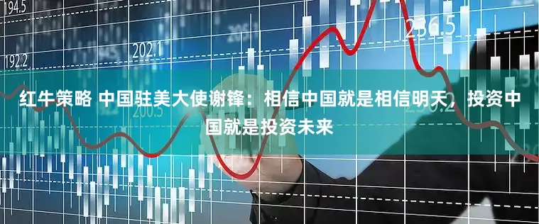 红牛策略 中国驻美大使谢锋：相信中国就是相信明天，投资中国就是投资未来