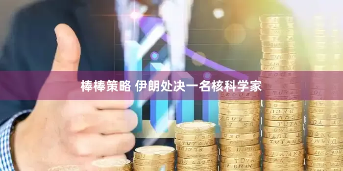 棒棒策略 伊朗处决一名核科学家