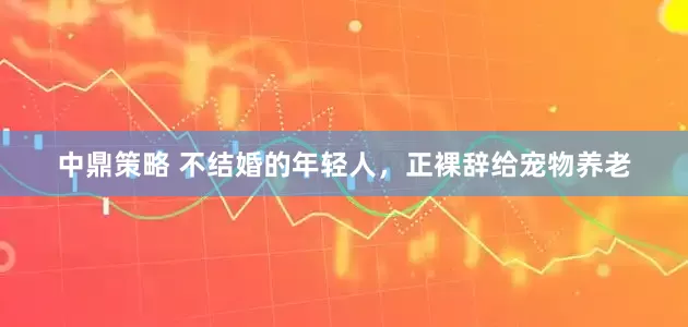 中鼎策略 不结婚的年轻人，正裸辞给宠物养老