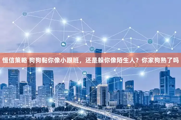 恒信策略 狗狗黏你像小跟班，还是躲你像陌生人？你家狗熟了吗