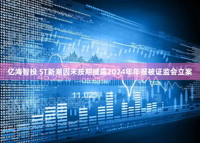 亿海智投 ST新潮因未按期披露2024年年报被证监会立案