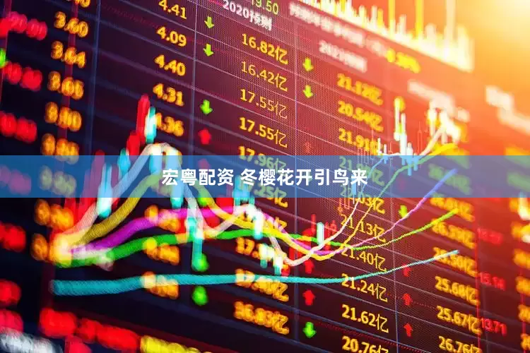 宏粤配资 冬樱花开引鸟来