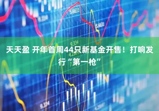 天天盈 开年首周44只新基金开售！打响发行“第一枪”